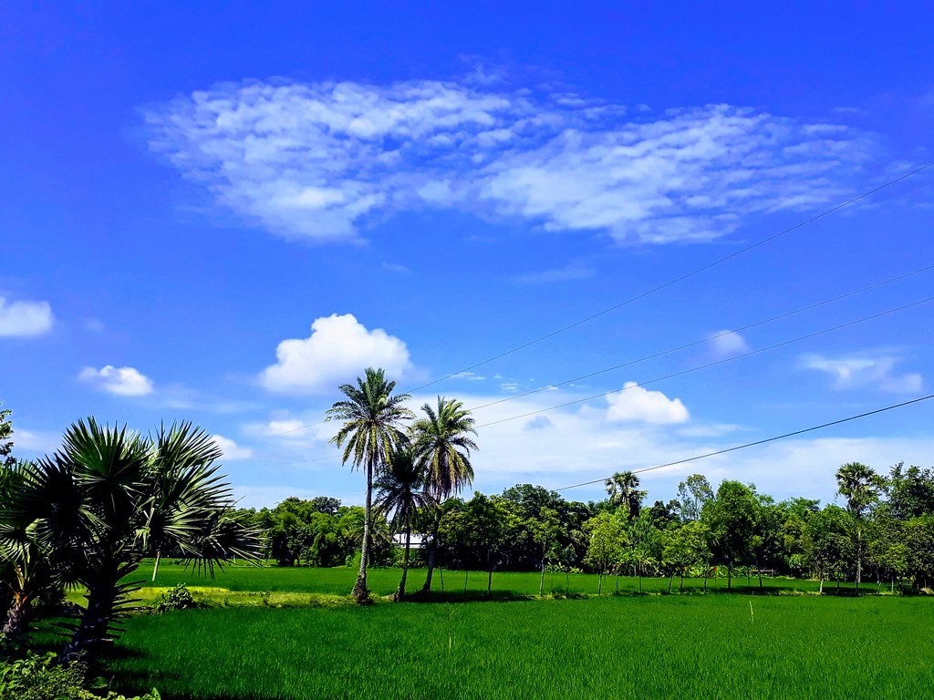 ৩১৭. অপরুপ সৃষ্টি