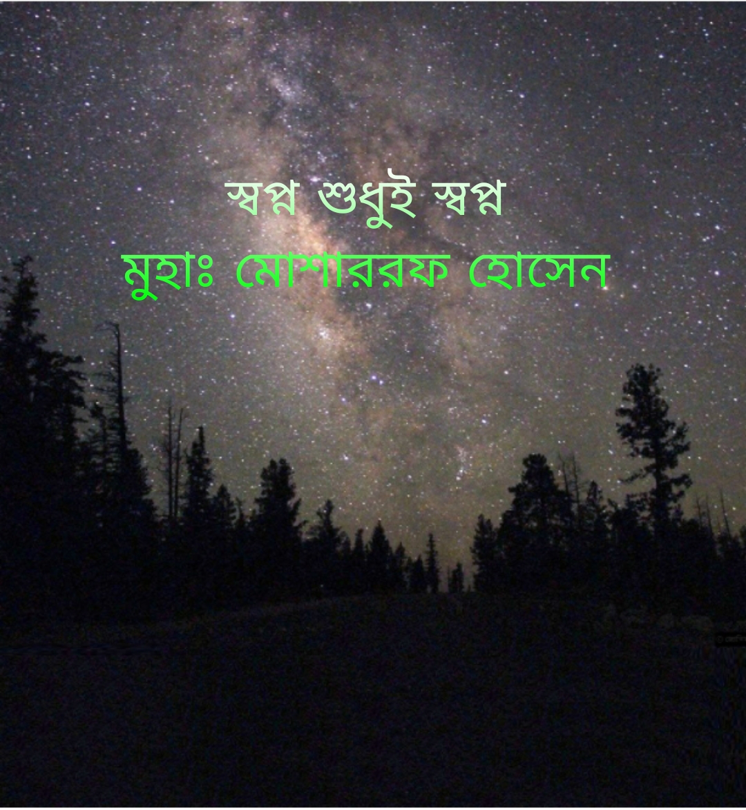 ৩১৯. স্বপ্ন শুধুই স্বপ্ন